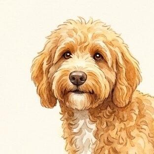 Maple, illustrated from her photograph