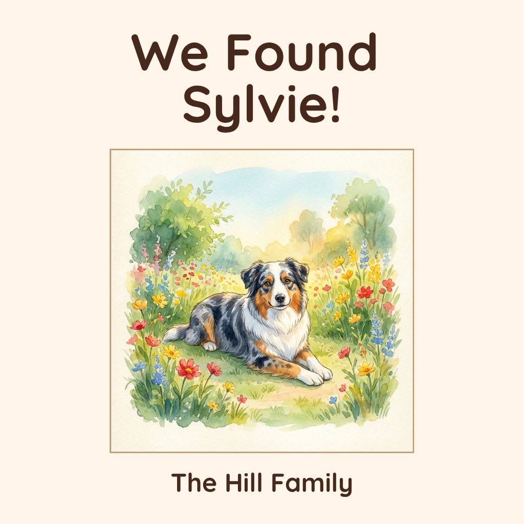 How We Found Each Other